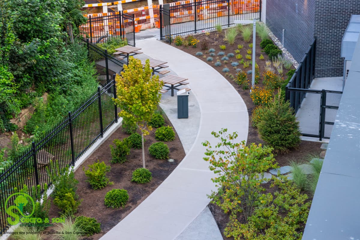 Eco-friendly rooftop garden in Queens