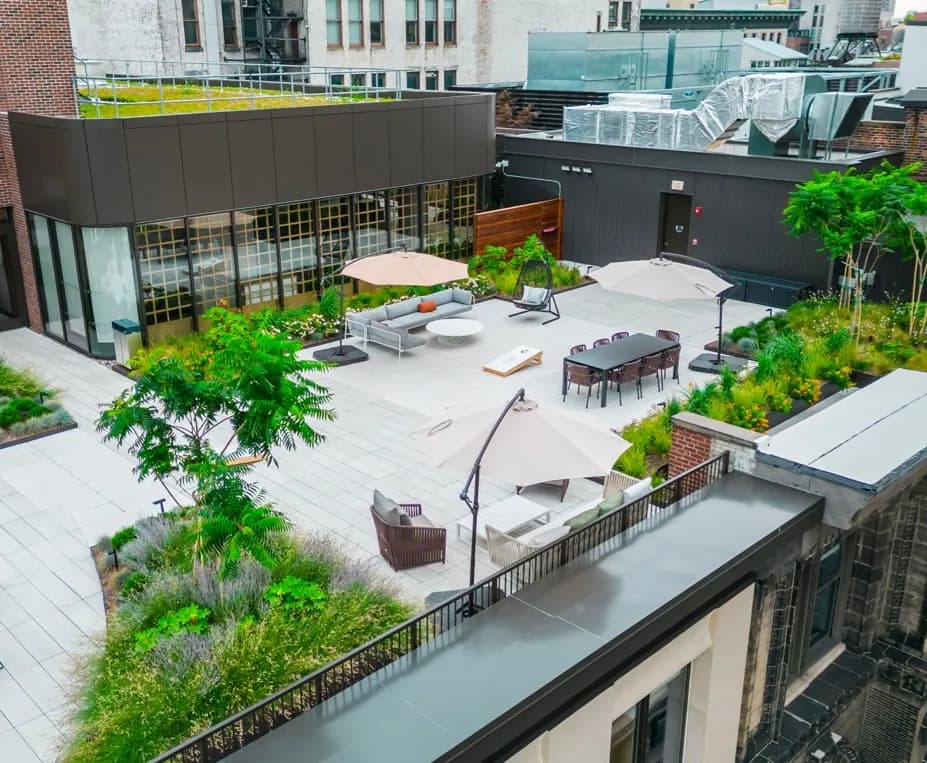 City rooftop garden with plantings and seating