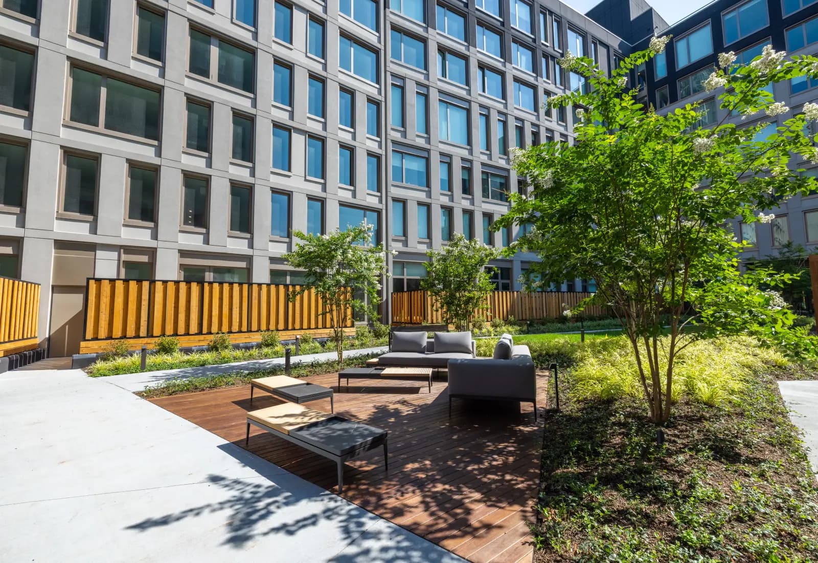 65 & 75 Dupont project photo