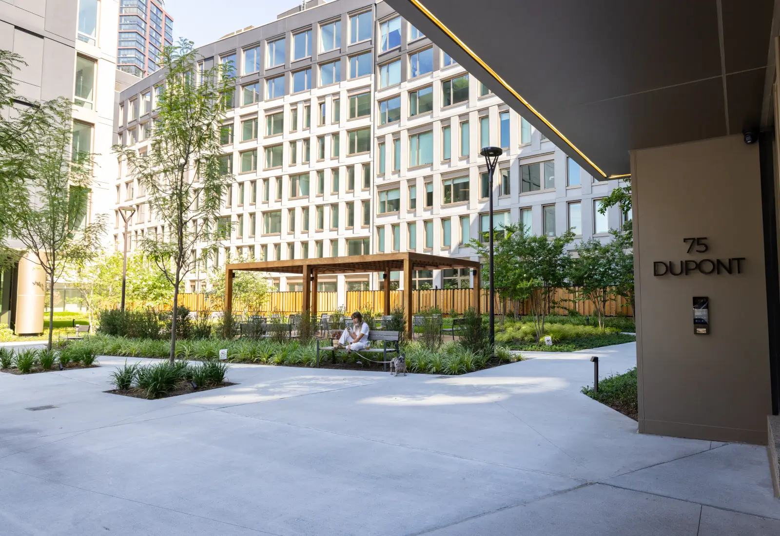 65 & 75 Dupont project photo