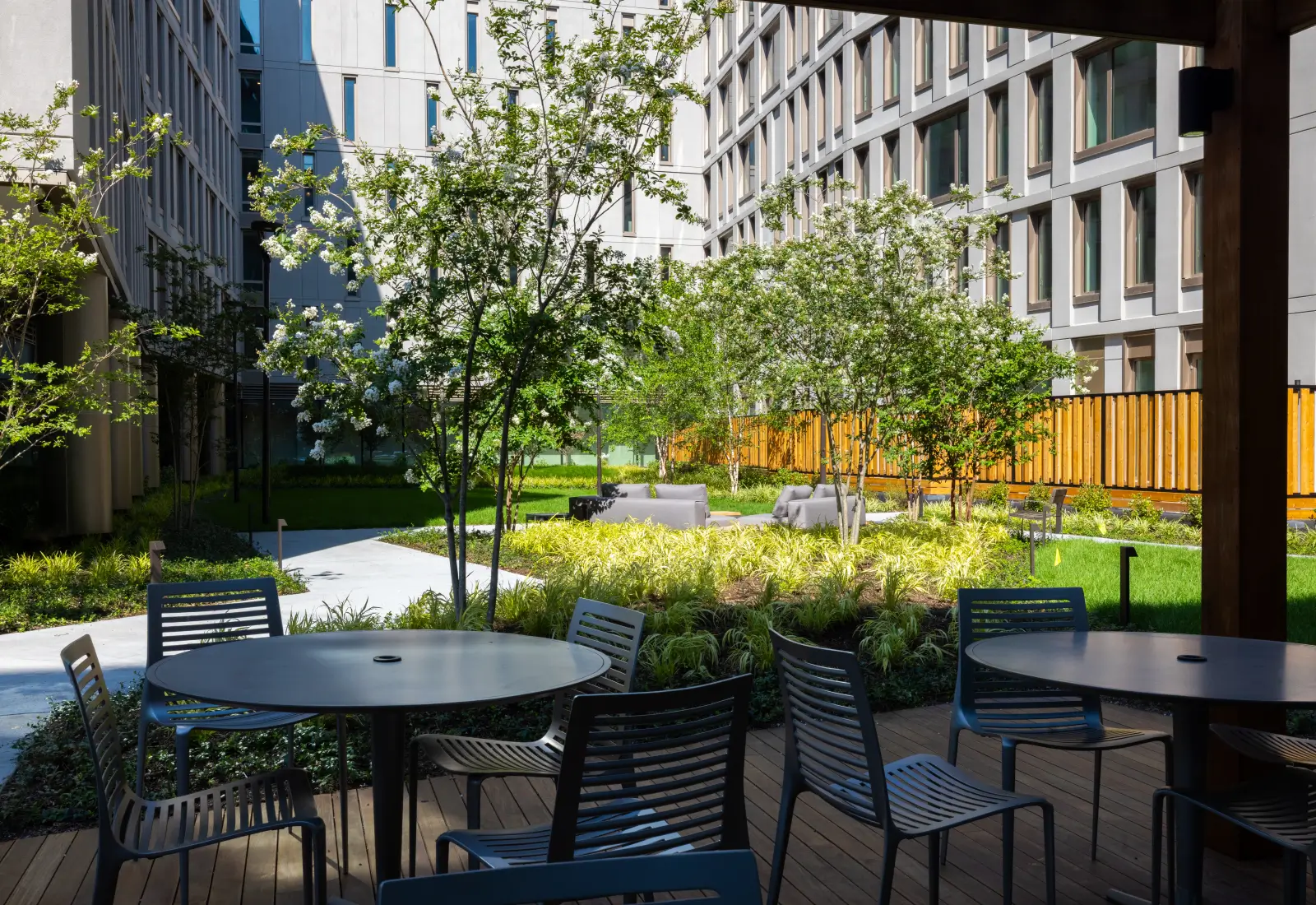 65 & 75 Dupont project photo
