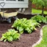 5-reasons-to-use-mulch-in-the-fall
